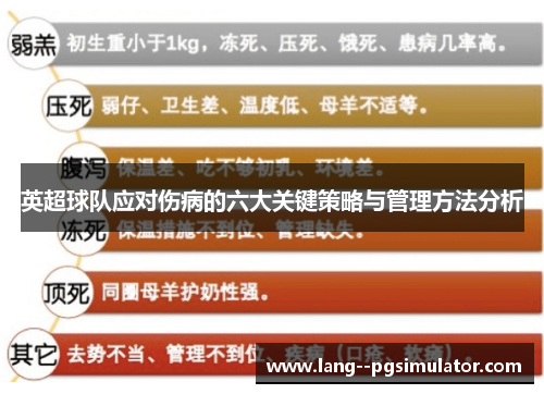 英超球队应对伤病的六大关键策略与管理方法分析