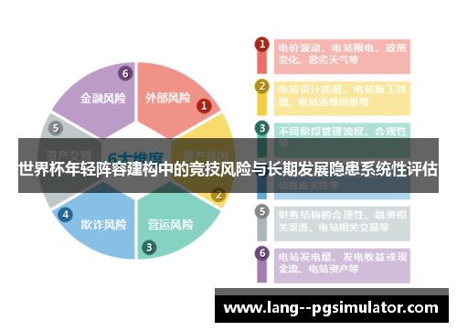 世界杯年轻阵容建构中的竞技风险与长期发展隐患系统性评估
