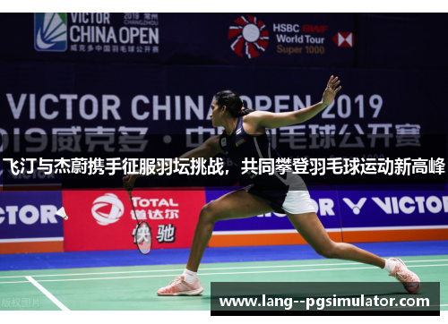 飞汀与杰蔚携手征服羽坛挑战，共同攀登羽毛球运动新高峰