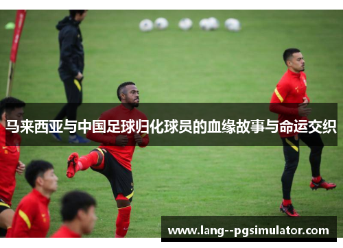 马来西亚与中国足球归化球员的血缘故事与命运交织