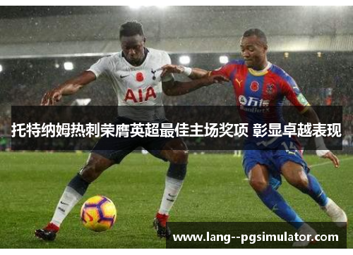 托特纳姆热刺荣膺英超最佳主场奖项 彰显卓越表现 托特纳姆热刺荣膺英超最佳主场奖项 彰显卓越表现