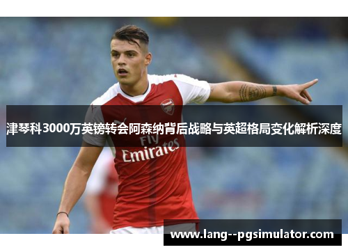 津琴科3000万英镑转会阿森纳背后战略与英超格局变化解析深度 津琴科3000万英镑转会阿森纳背后战略与英超格局变化解析深度
